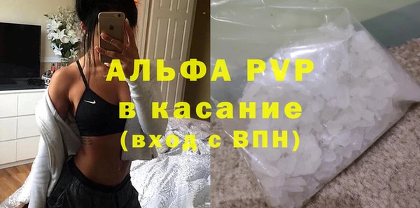 сатива Алзамай