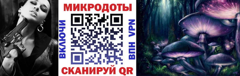 купить наркотики цена  ОМГ ОМГ рабочий сайт  Галлюциногенные грибы прущие грибы  Куртамыш 